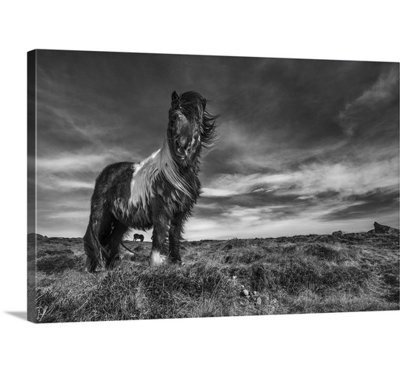 1x Bragi Ingibergsson - Wrapped Canvas Photograph