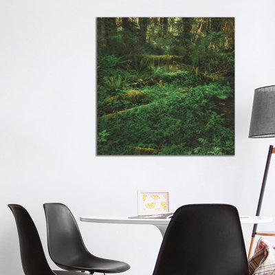 Olympic Rain Forest 1 Piece Wall Art on Canvas