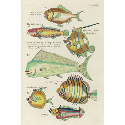 «Ahnalee Renard Tropical Fish II» par Louis Renard