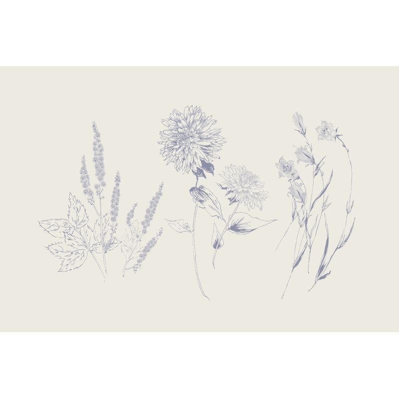Flowers On White VIII by Wild Apple Portfolio - Wrapped Canvas Art Prints, 30cm H x 46cm W x 3.8cm D