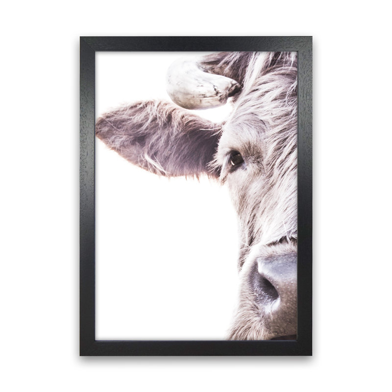 Highlander II by Victoria Frost - Print, 88cm H x 64cm W x 3cm D, Black Framed