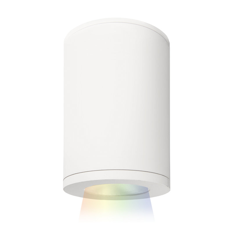 Tube 1 - Light LED Flush Mount, Flood, White
