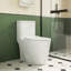 Toilette monobloc allongée au plancher 1,1 / 1,6 GPF à hauteur confort, certifiée CUPC, certifiée WaterSense, céramique, couleur blanche, siège à fermeture en douceur