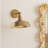 Jeb 1 - Light Dimmable Armed Sconce in Natural Brass-1072772363