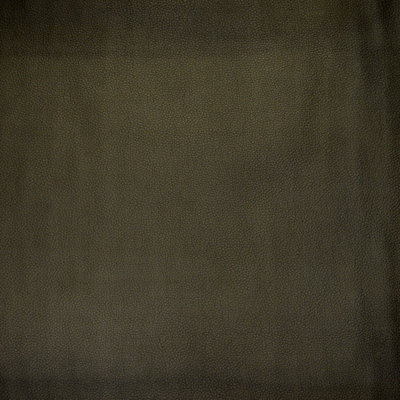 Tissu geminidis