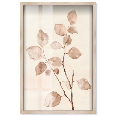 Sépia brindilles I, boîte aux ombres, art naturel Boho par Art Remedy