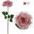 Roses Stem-35480670
