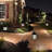 Black Solar Powered Integrated LED Pathway Light