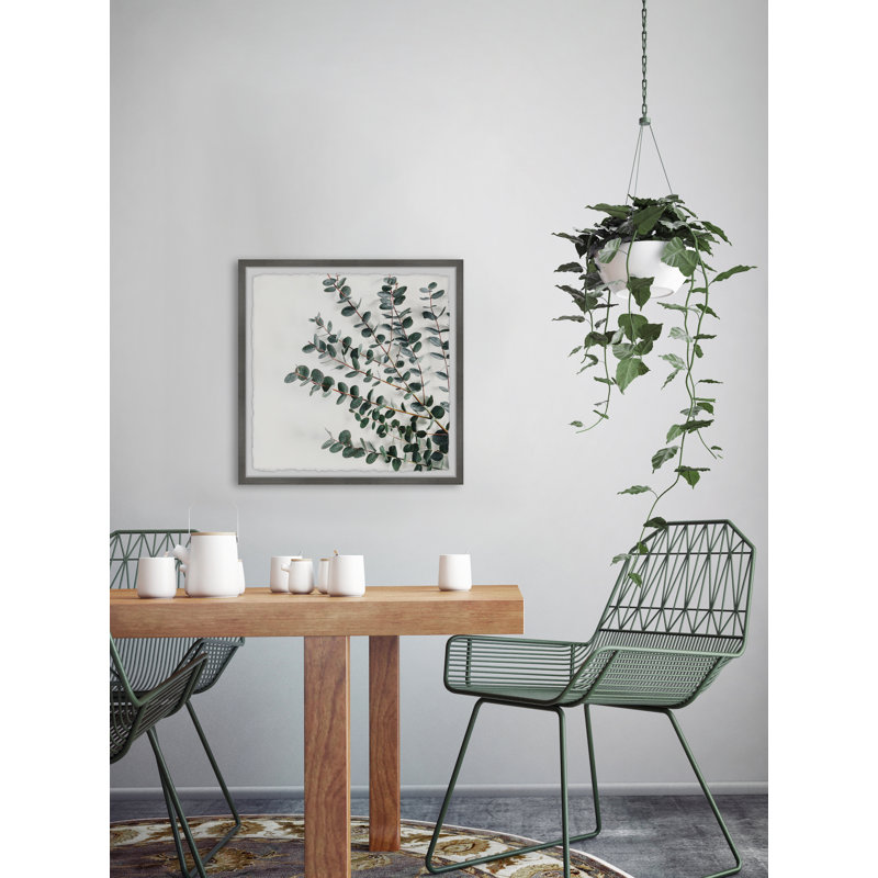 House Plant - Single Picture Frame Painting, 41 cm H x 41 cm W