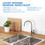 Robinet Apec Water-Faucet-Cd-Np-45058258