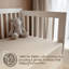 Cotton 2 - Piece Cot Fitted Sheet-1391796083-1391662123