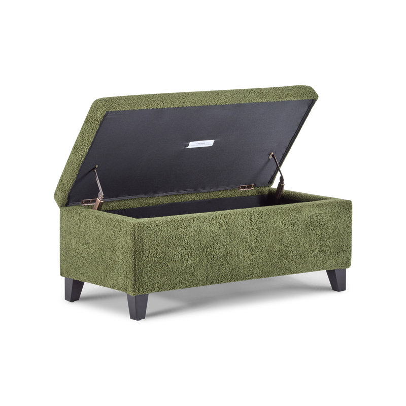 Repose-pieds avec rangement et couvercle rabattable (y compris le repose-pieds), Vert