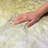 Premium Machine Washable Dream Shag ADS562 Abstract Rug-1853390354-1853390359