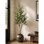 Approx. 83 Inches High Artificial Olive Tree