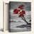 Wrapped Canvas