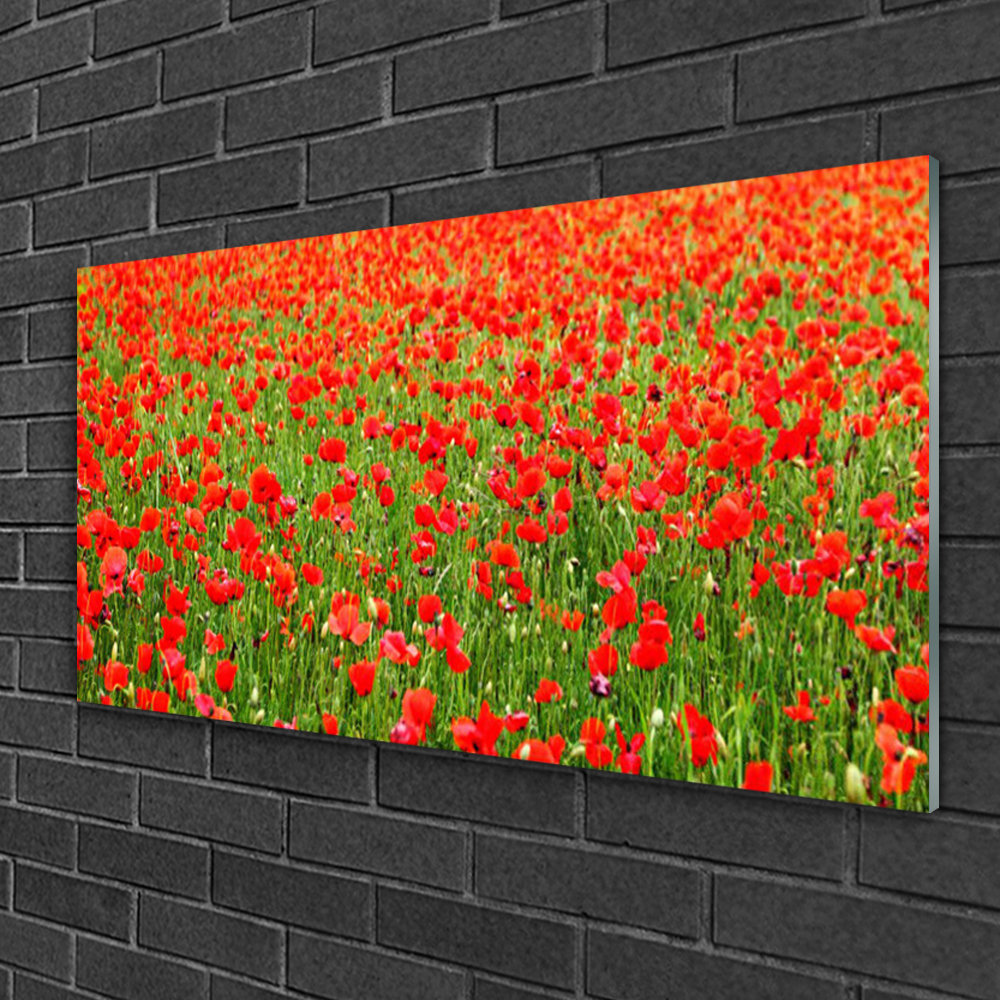 Glasbild Nature Poppies