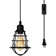 Zellner 1 - Light Satin Black Caged Pendant