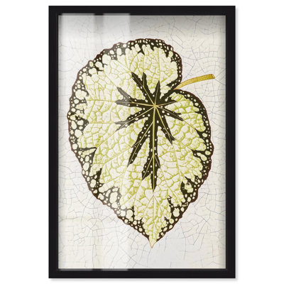 «Leaf Unravels II», reproduction botanique, boîte-cadre par Art Remedy