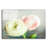 " Peony 06 " by Lightbox Journal-1296779632