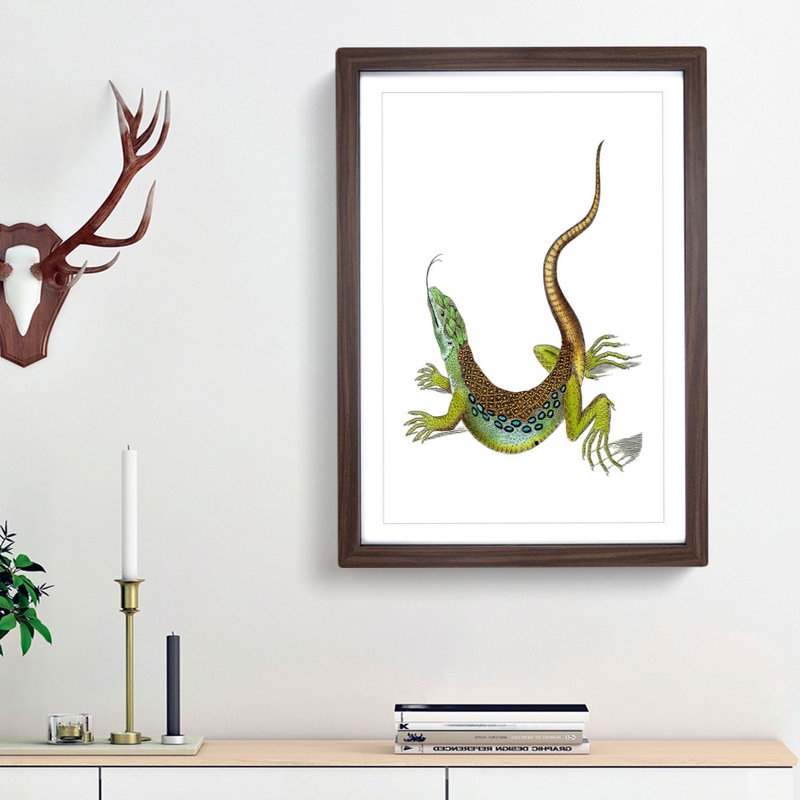 Great-Spotted Lizard by George Shaw - Picture Frame Painting Print, Walnut Framed, 36cm H x 27cm W x 2cm D