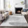 Premium Machine Washable Prisco Gray Rug