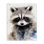 Art mural sur toile Woodland Nursery Raccoon par Franklyn Gregory bp-478_CN