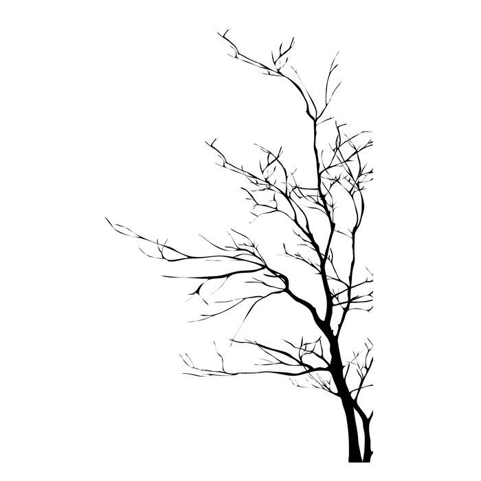 Loon Peak® Bare Tree Branches Wall Decal & Reviews | Wayfair