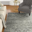 Patrick Performance Oriental Rug