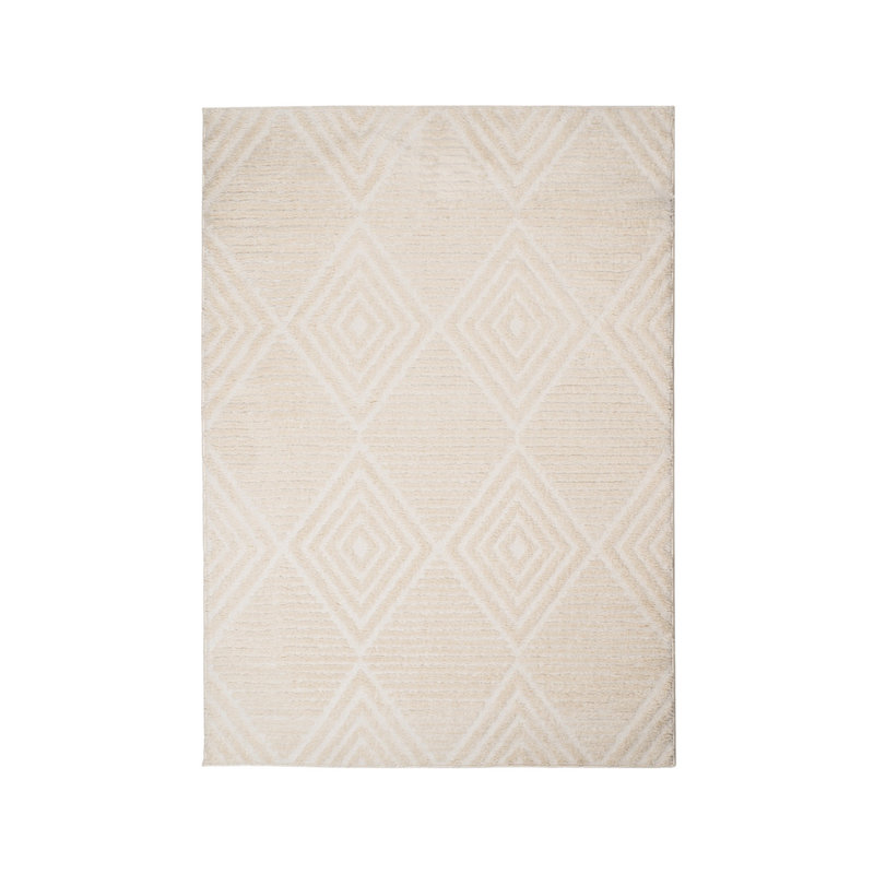 Roehit Machine Tufted Area Rug, Rectangle 160 x 230cm