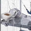 Ferret Cage