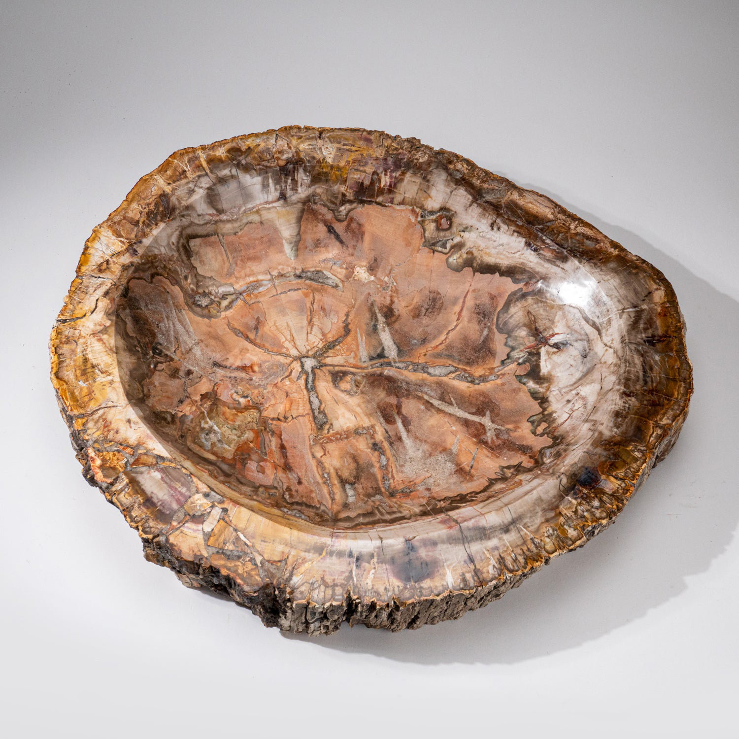 https://assets.wfcdn.com/im/03989448/compr-r85/2534/253493534/genuine-large-petrified-wood-bowl-from-madagascar-61-lbs.jpg