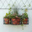 Support à plantes Noles