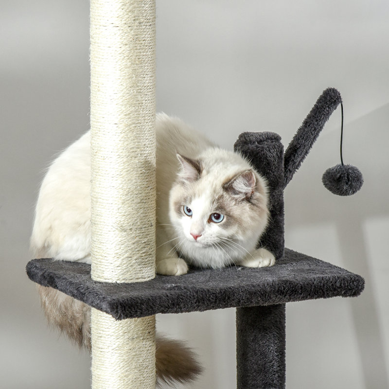 Retraite 106 po pour chat: avec griffoir, planche, pour chats, 10 lb maximum, gris-gris foncé: centre multifonctionnel avec poteau