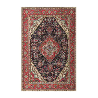 Southwestern Indoor Rug