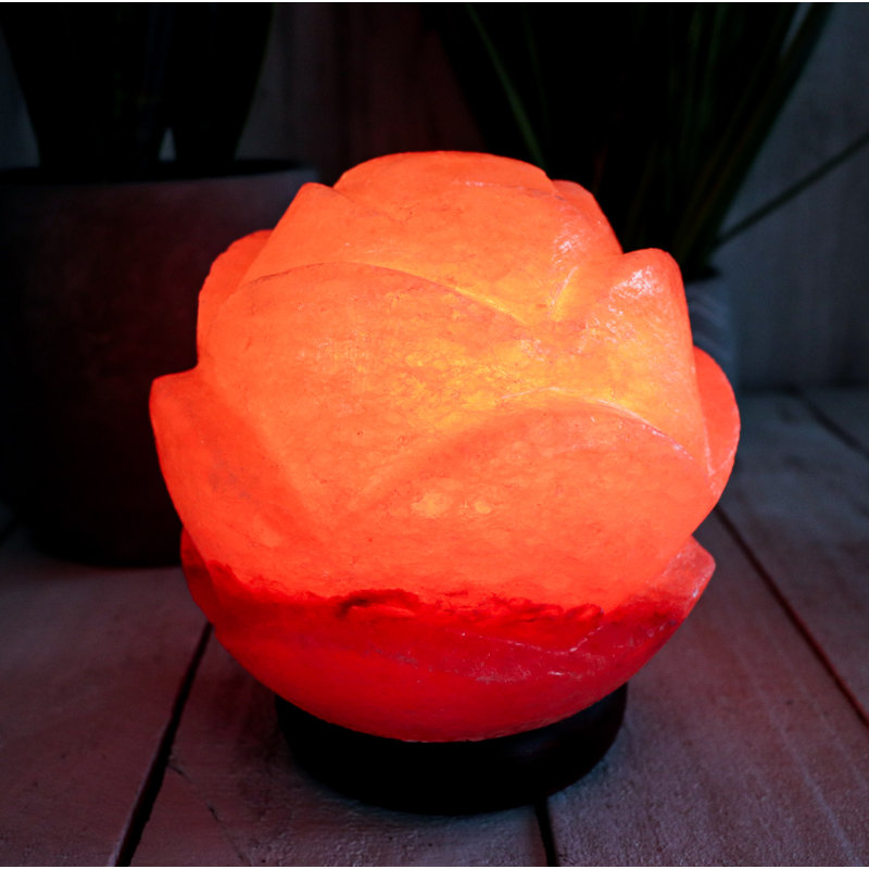 7 Lb. Plants & Flowers Themed Salt Lamp