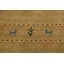 Tapis de tribu indien Gabbeh Tribal