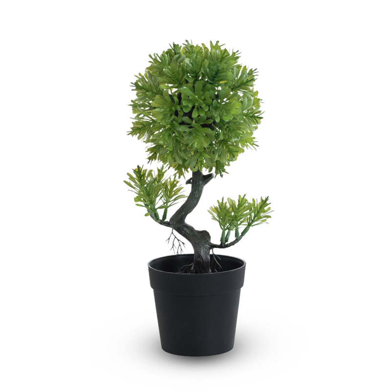 Topiaire en pot
