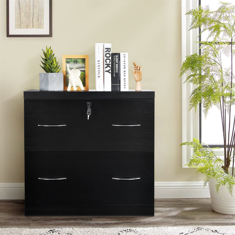 Jye 74 cm W 2 -Drawer Filing Cabinet, Black