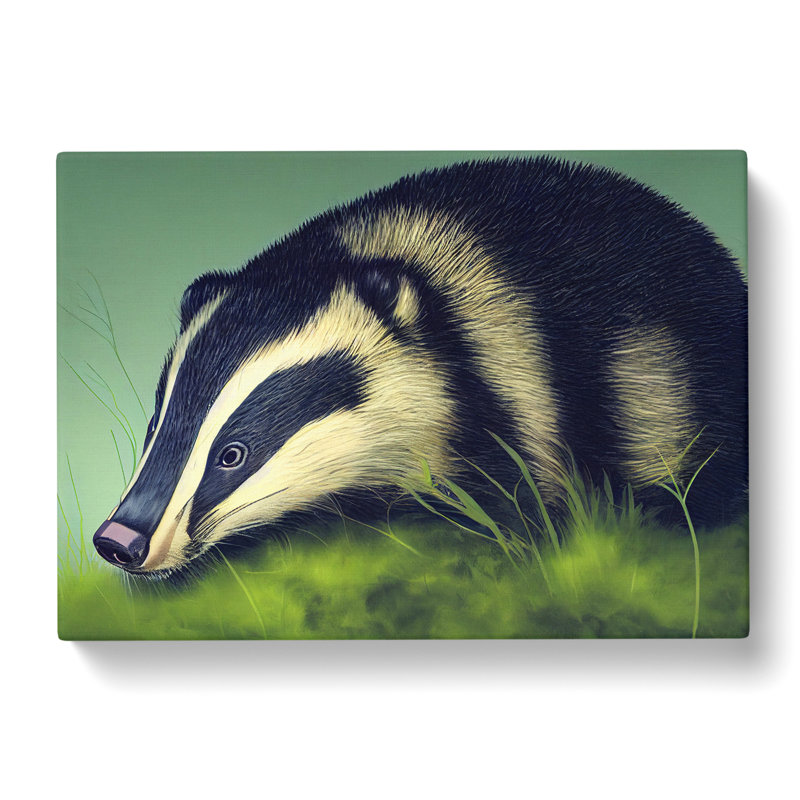 View Of A Badger - Wrapped Canvas, 40cm H x 60cm W x 3cm D