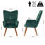 Hollowayville Velvet Armchair