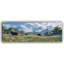 «Highland Cows in Bloom», art mural sur toile tendue-118374377