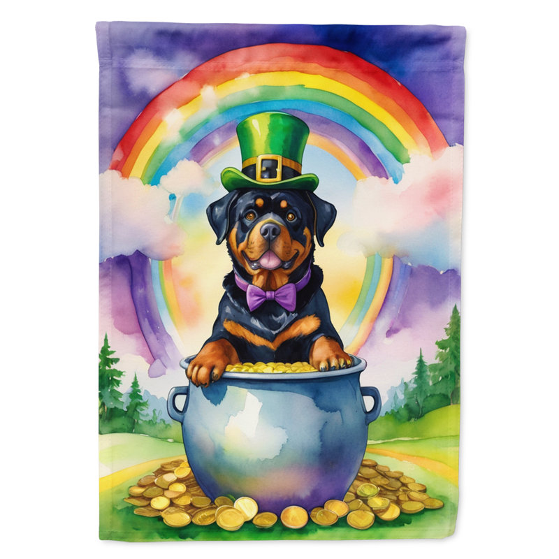 Drapeau double face en polyester H 40 po x l 28 po St Patrick's Day House