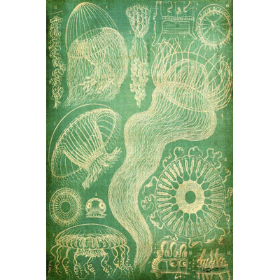 Sealife I - Wrapped Canvas Painting