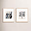 Flora 1&2 Print by Lee Lessem-2071769607-2071769658