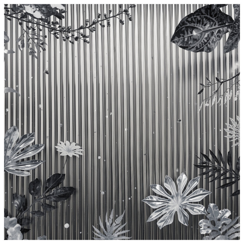 Toile tendue monochrome à motif de feuilles tropicales dans de nombreuses tailles, 24 x 36 inches
