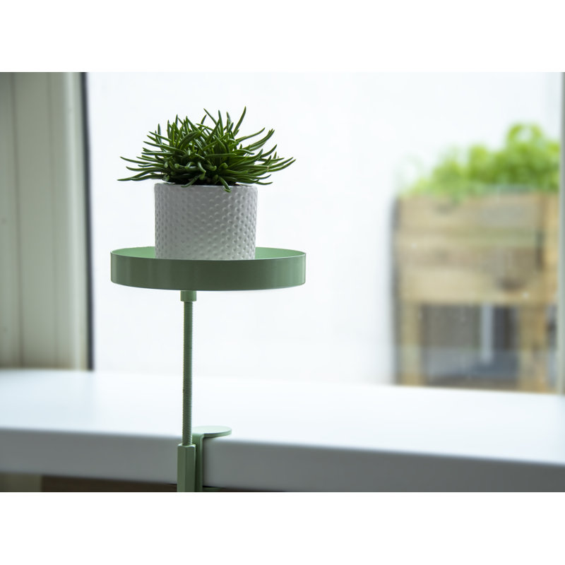 Windowsill Clamp, 20.9cm H x 14cm W x 14cm D, Green