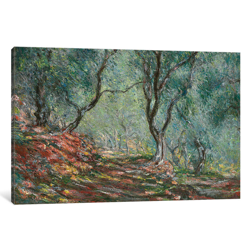 Olive Trees In The Moreno Garden, 1884 by Claude Monet - Painting on Canvas, No Frame, 101.6 cm H x 66.04 cm W x 3.175 cm D