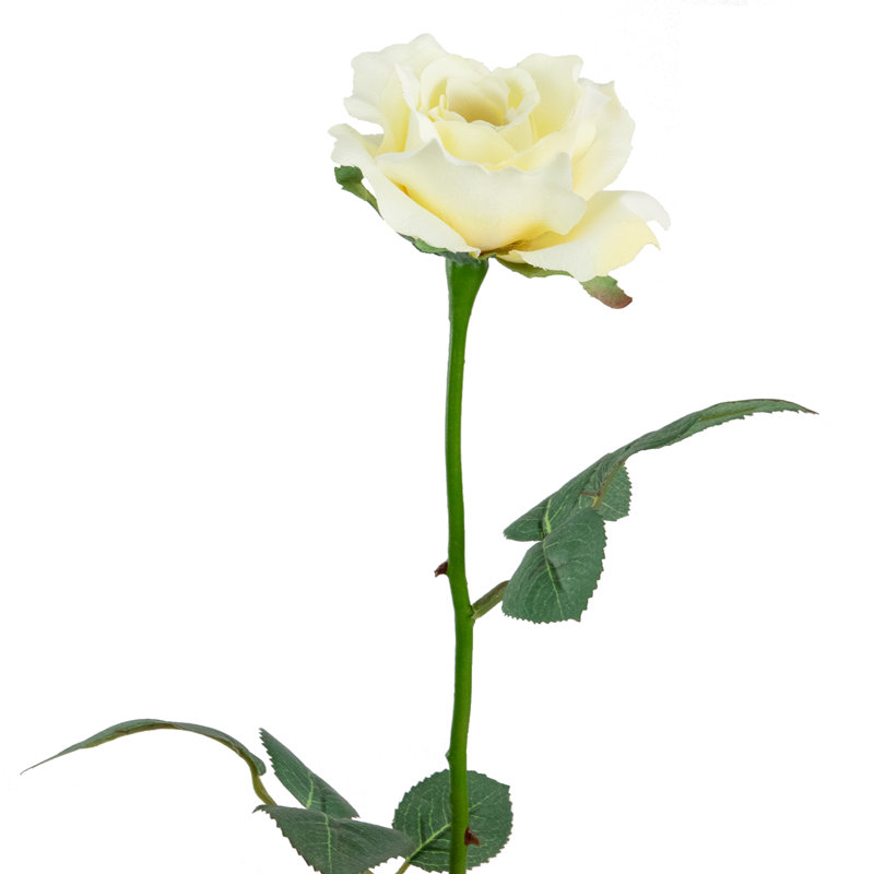 Rose Arrangement