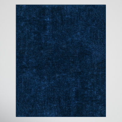 Loni Solid Machine Washable Shag Area Rug for Living Room Bedroom Dining Room Nursery