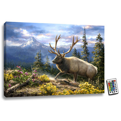 Siskiyou Bluff 18x24 Fully Illuminated ColorChange LED Print